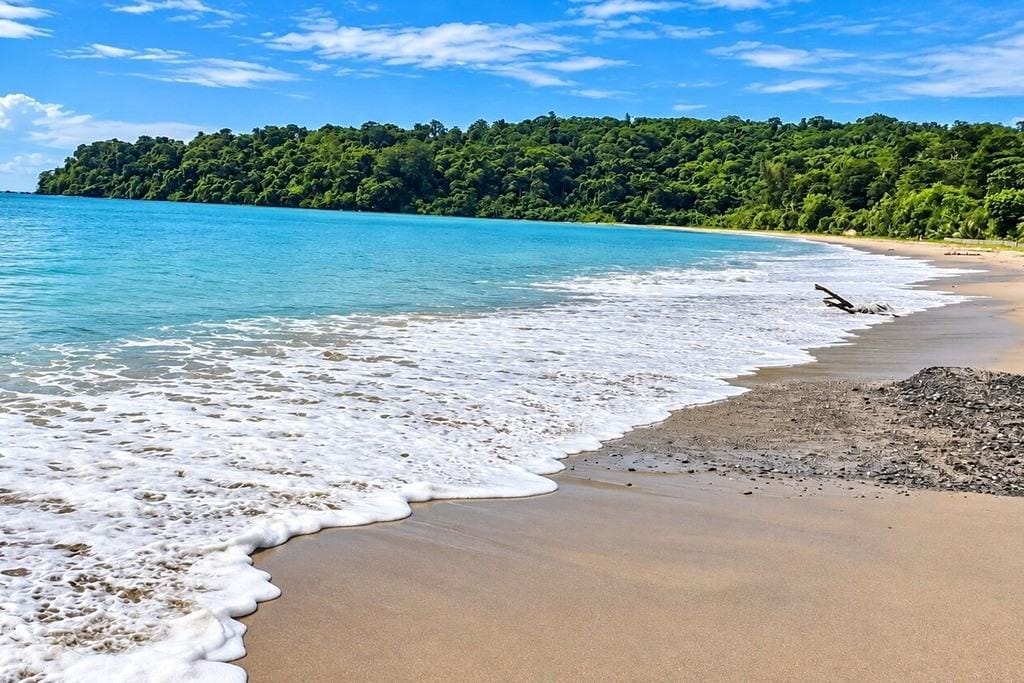 Scenic shoreline of Ramnagar Beach near Diglipur surrounded by the natural beauty of North Andaman