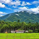 Saddle Peak National Park, a popular place to visit in North and Middle Andaman