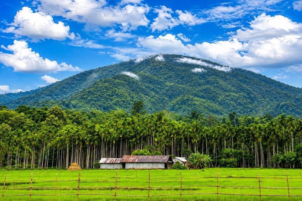 Saddle Peak National Park, a popular place to visit in North and Middle Andaman