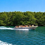 Speedboat cruising through lush green mangroves in Andaman Islands.
