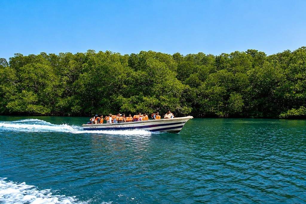 Speedboat cruising through lush green mangroves in Andaman Islands.