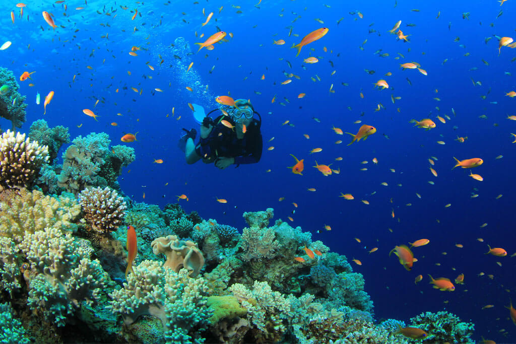 SCUBA DIVING IN ANDAMAN3 Andaman Family Packages from Chennai @ 12,500/-pp