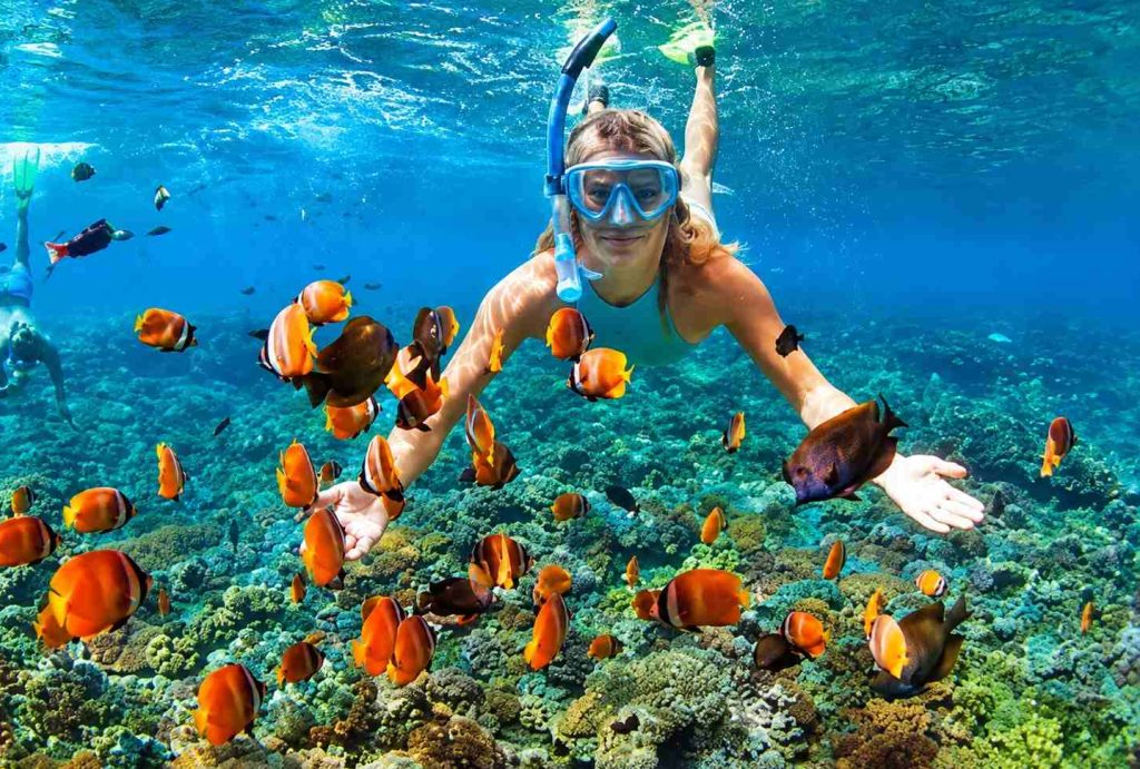 Snorkelling in Andaman with clear blue water, colorful coral reefs, tropical fish, and underwater marine life.