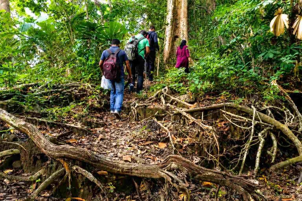 Trekking in Andaman through tropical forests, scenic trails, hills, and natural landscapes.