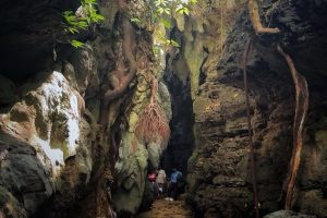 Baratang Limestone Cave included in a 4 Nights 5 Days Andaman Package Without Flight