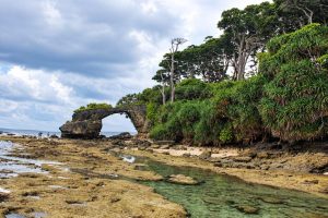 Natural Rock Formation on Neil Island featured in an Andaman Weekend Trip