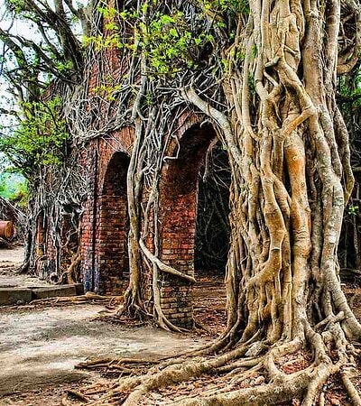4N5D Andaman Holiday Packages ₹ 14,215/-pp