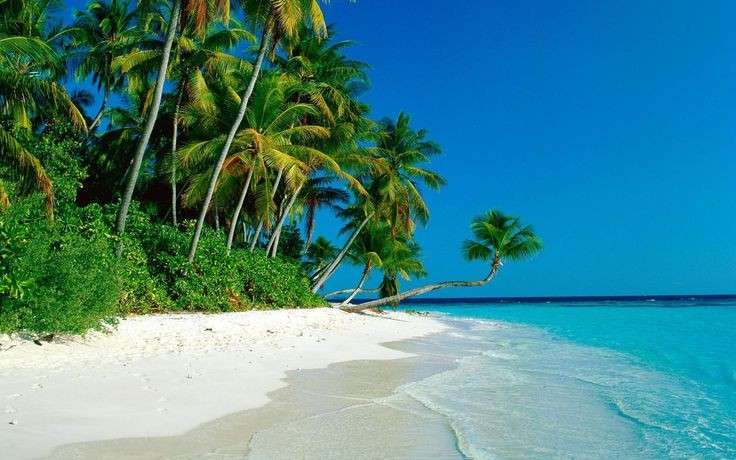 4 Nights 5 Days Andaman Holiday Packages @ 11,944/-pp