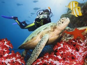 5 Nights 6 Days Andaman Nicobar Island Packages @ 14,110/-