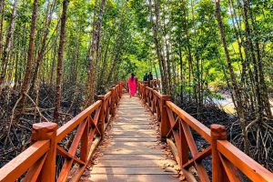 Dhannilah Mangrove Walkway Rangat on 8N/9D Andaman And Nicobar Islands Packages