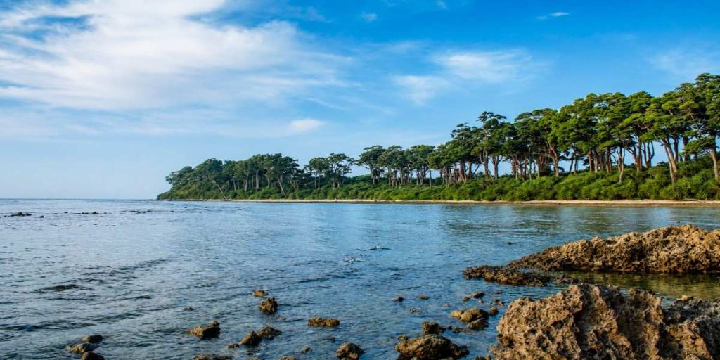 Natural Rock Formation (Natural Bridge) at Neil Island (Shaheed Dweep), Andaman & Nicobar Islands, featured in Andaman Family Tour with Flight Price.