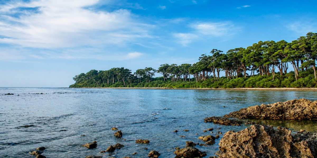 Natural Rock Formation (Natural Bridge) at Neil Island (Shaheed Dweep), Andaman & Nicobar Islands, featured in Andaman Family Tour with Flight Price.