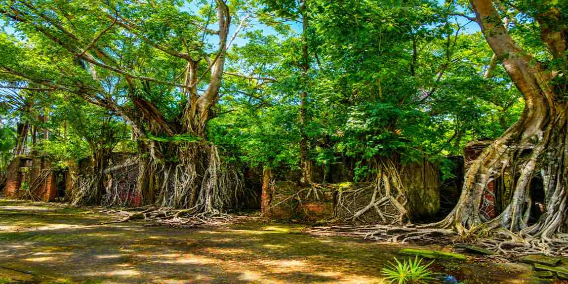Ross Island (Netaji Subhash Chandra Bose Island) near Sri Vijaya Puram (Port Blair), Andaman & Nicobar Islands, featured in Andaman Family Tour with Flight Price.