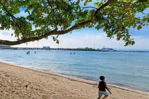 Bharatpur Beach on Neil Island with clear coastal waters and tropical surroundings, a scenic stop on an Andaman Nicobar honeymoon trip