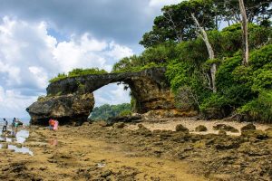 Natural rock formation along the coast of Neil Island in the Andaman Islands, a scenic attraction on an Andaman Nicobar honeymoon trip