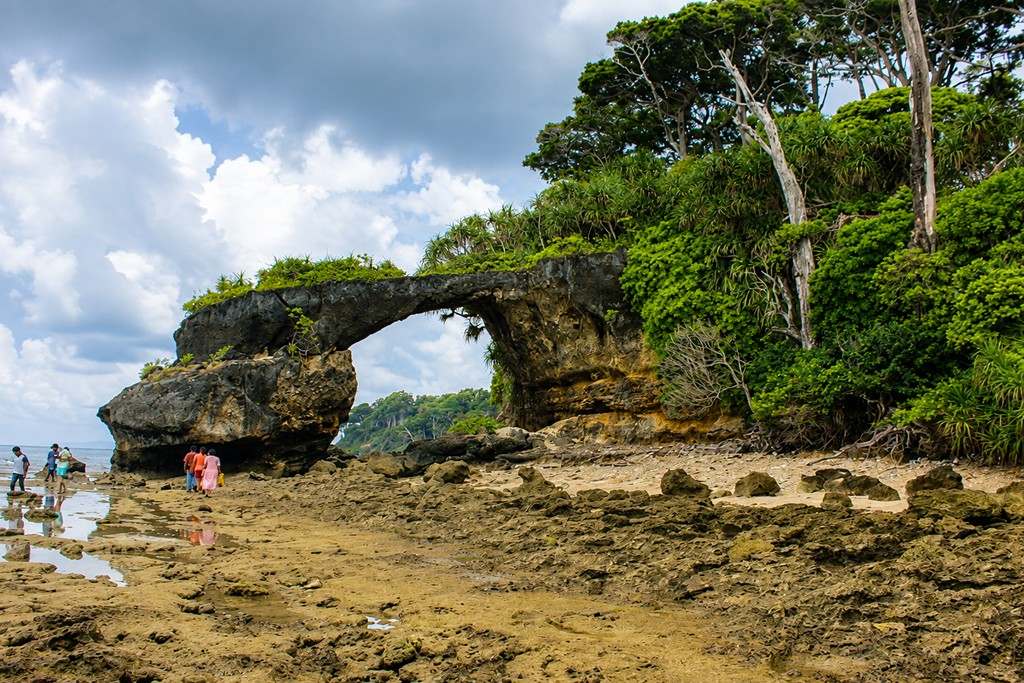 Natural rock formation along the coast of Neil Island in the Andaman Islands, a scenic attraction on an Andaman Nicobar honeymoon trip