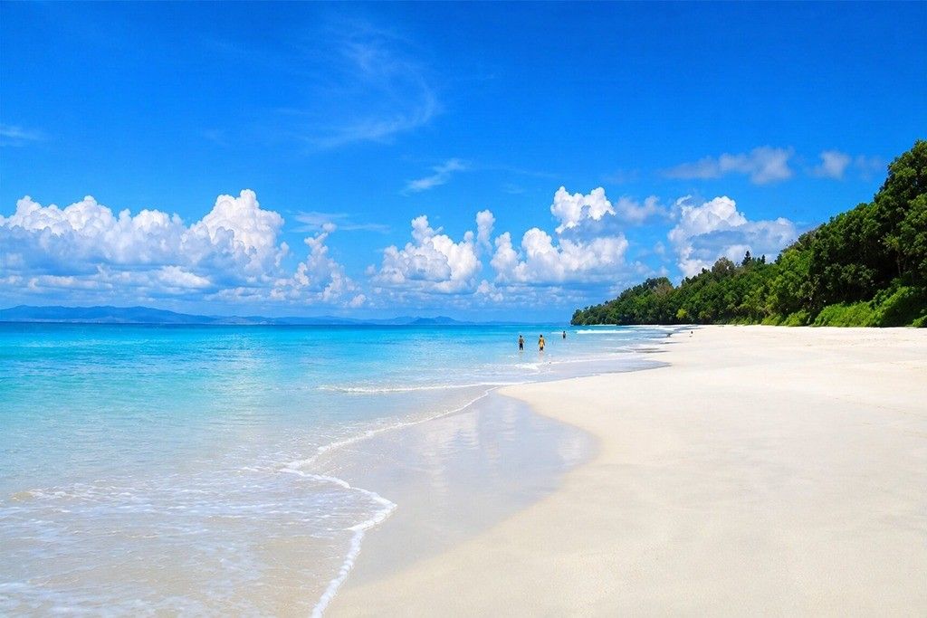 Radhanagar Beach on Havelock Island with a scenic tropical shoreline, a popular destination on an Andaman Nicobar couple trip