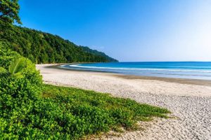 Radhanagar Beach on Havelock Island with its sandy shoreline and tropical surroundings during an Andaman honeymoon trip