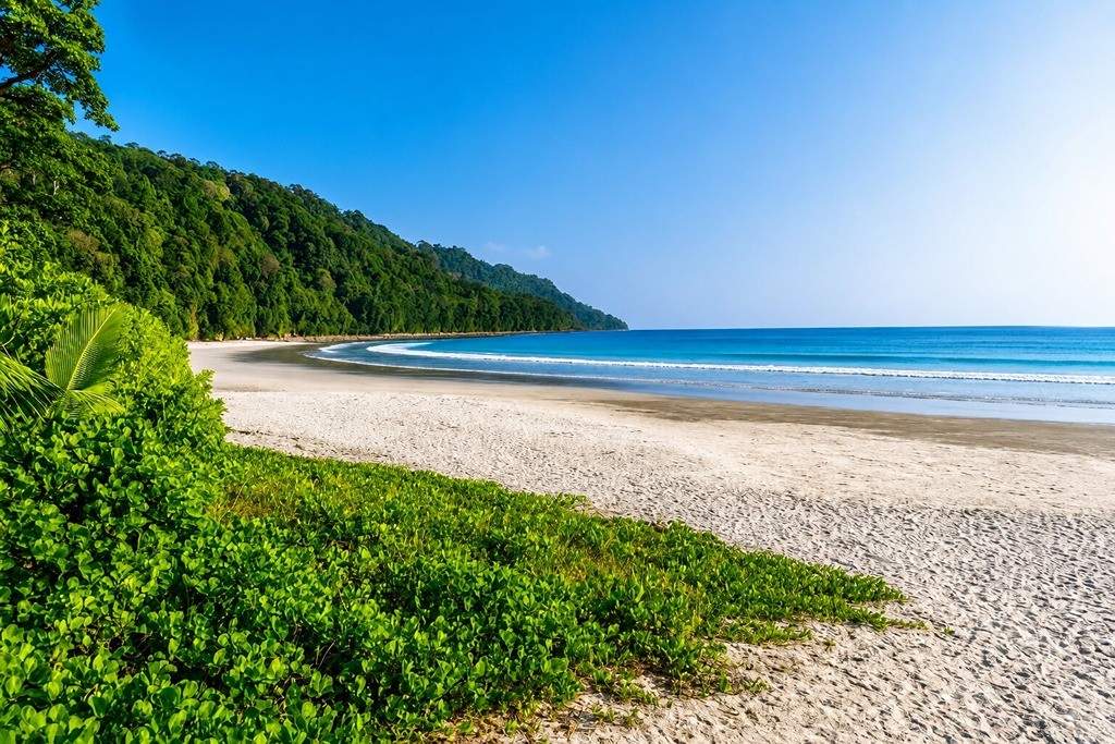 Radhanagar Beach on Havelock Island with its sandy shoreline and tropical surroundings during an Andaman honeymoon trip