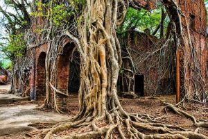 Ross Island near Port Blair with historic ruins and tropical surroundings during an Andaman romantic honeymoon