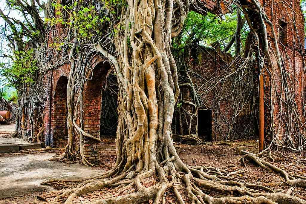 Ross Island near Port Blair with historic ruins and tropical surroundings during an Andaman romantic honeymoon