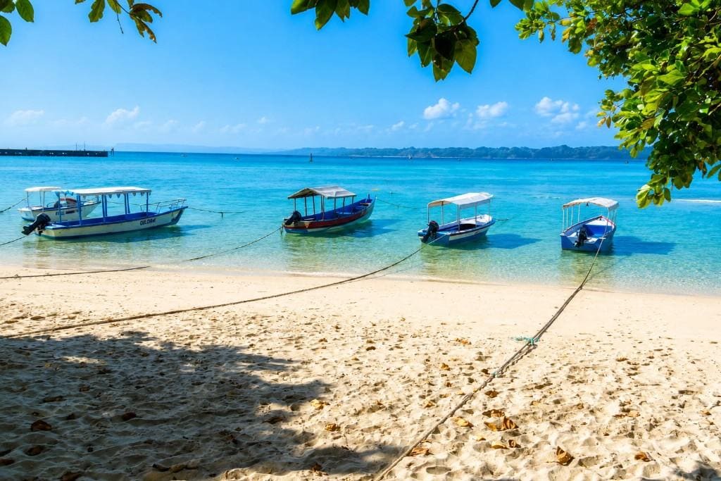 Bharatpur Beach on Neil Island with its scenic tropical shoreline during an Andaman honeymoon trip