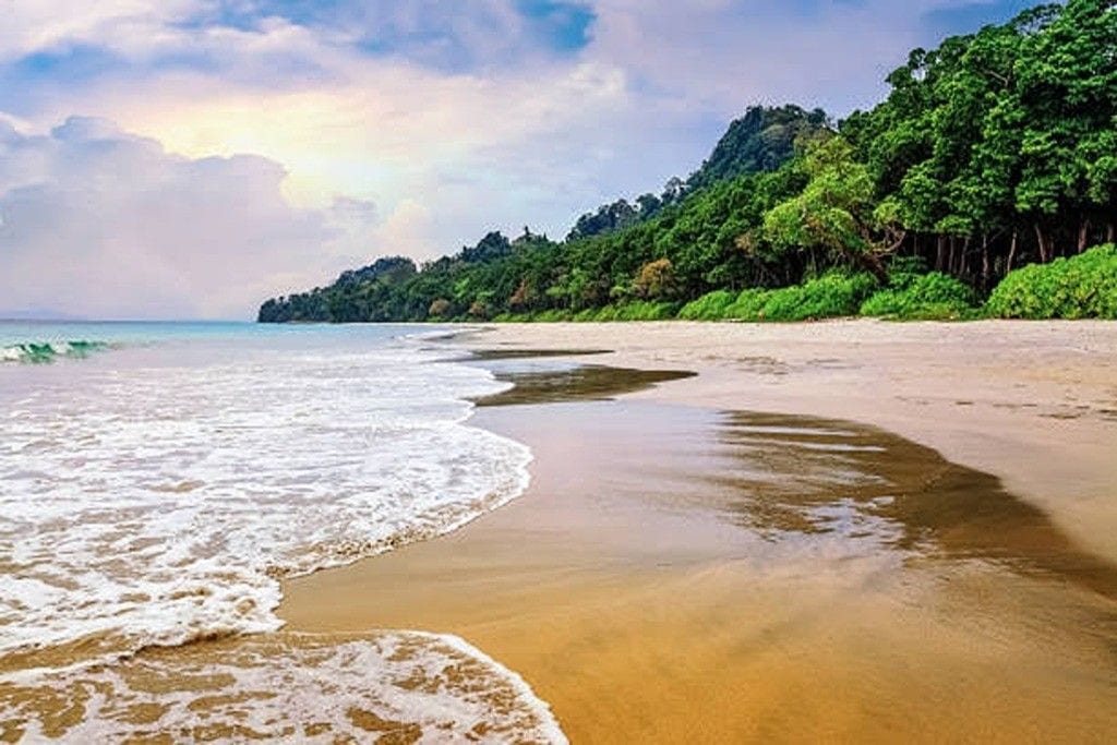 Radhanagar Beach on Havelock Island with its sandy shoreline and tropical scenery during an Andaman honeymoon trip