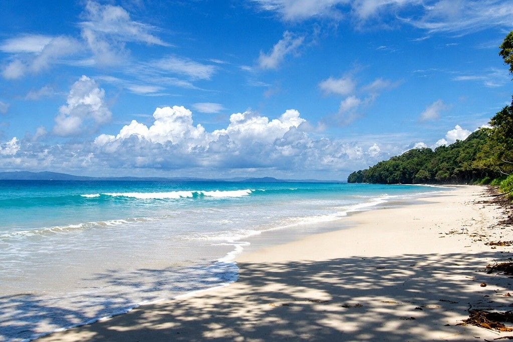 Radhanagar Beach on Havelock Island with its sandy shoreline and tropical surroundings, ideal for an Andaman honeymoon trip