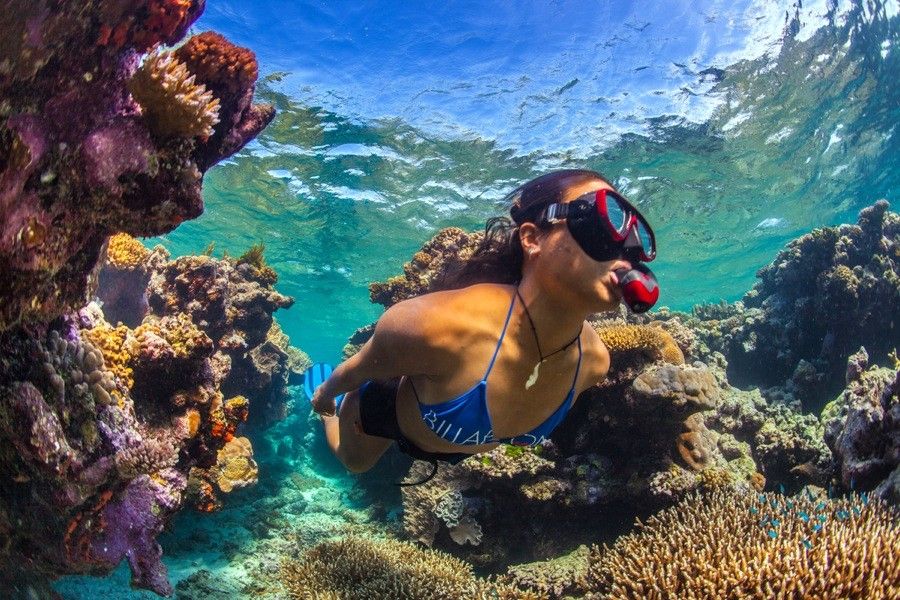 ScottSporleder 8 Queensland Australia Matador SEO1 Andaman tour packages from Mumbai @ 12,452/-pp
