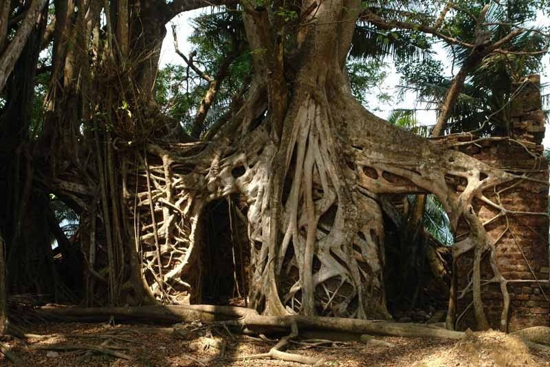 Ross Island Tour @ 470/-pp 2 Ross Island Tour @ 470/-pp 040 Andamanen Port Blair Ross Island 01 Ross Island Tour @ 470/-pp