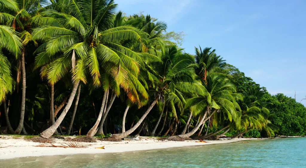 1200x658 Port Blair1 Andaman Tour Packages from Kolkata at 12,500/-pp