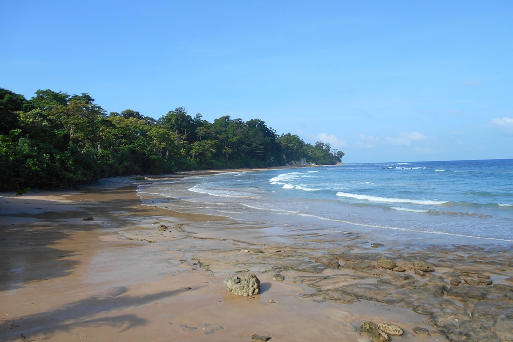 Andaman Tour Packages from Hyderabad @ 12,452/-pp 12 Andaman Tour Packages from Hyderabad @ 12,452/-pp DSCN1960 Andaman Tour Packages from Hyderabad @ 12,452/-pp