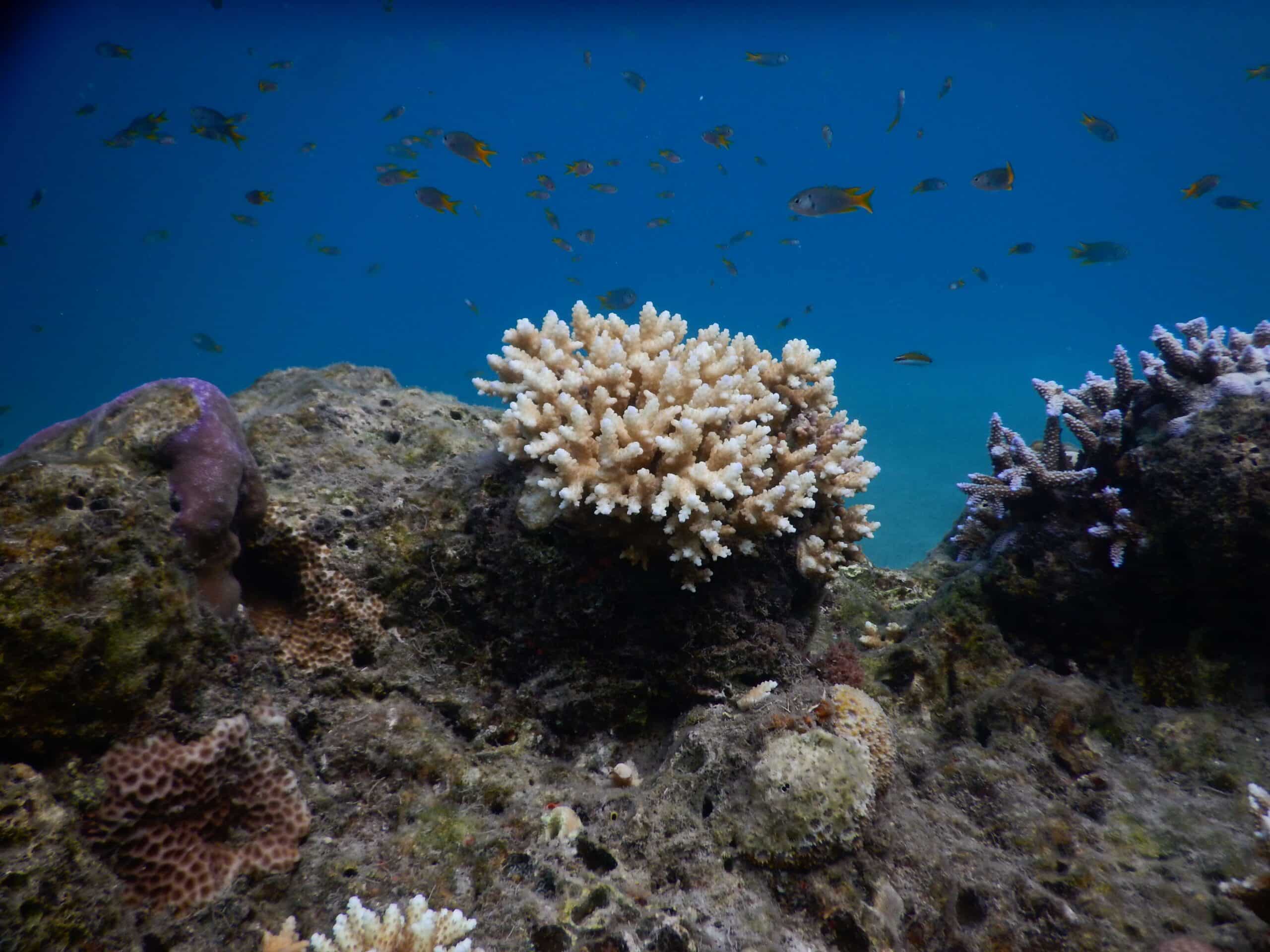 DSCN5303 scaled Andaman Tour Packages from Malaysia