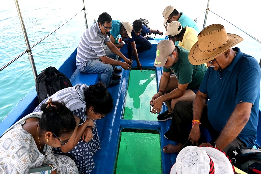 Andaman Tour Packages from Hyderabad @ 12,452/-pp 22 Andaman Tour Packages from Hyderabad @ 12,452/-pp DSC 0987 Andaman Tour Packages from Hyderabad @ 12,452/-pp