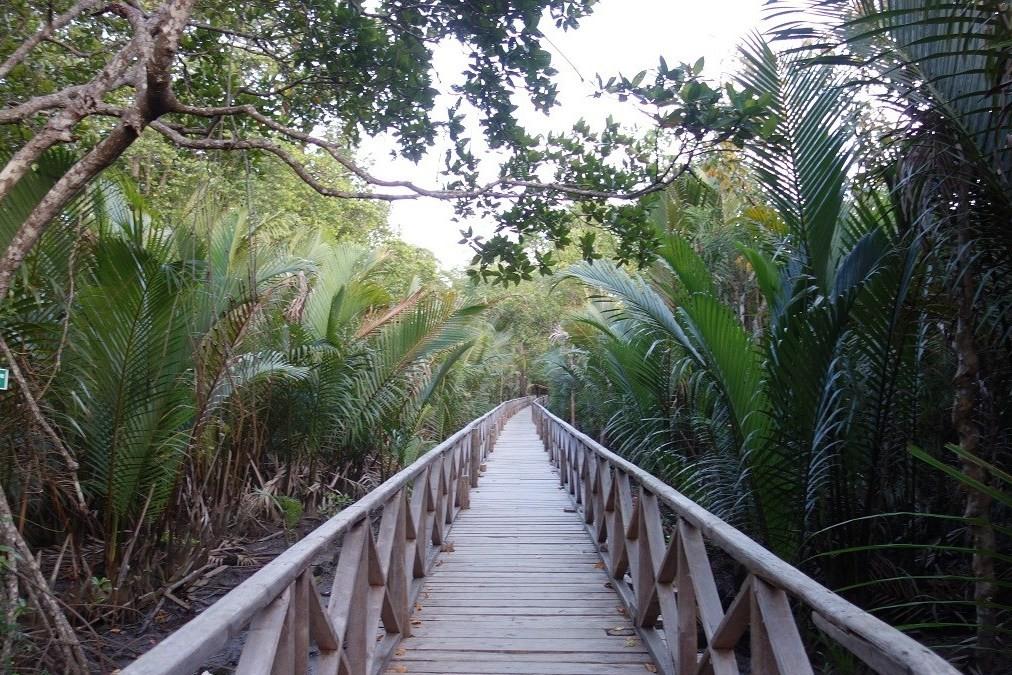 dhaninallah1 Andaman Tour Packages from Kolkata at 12,500/-pp