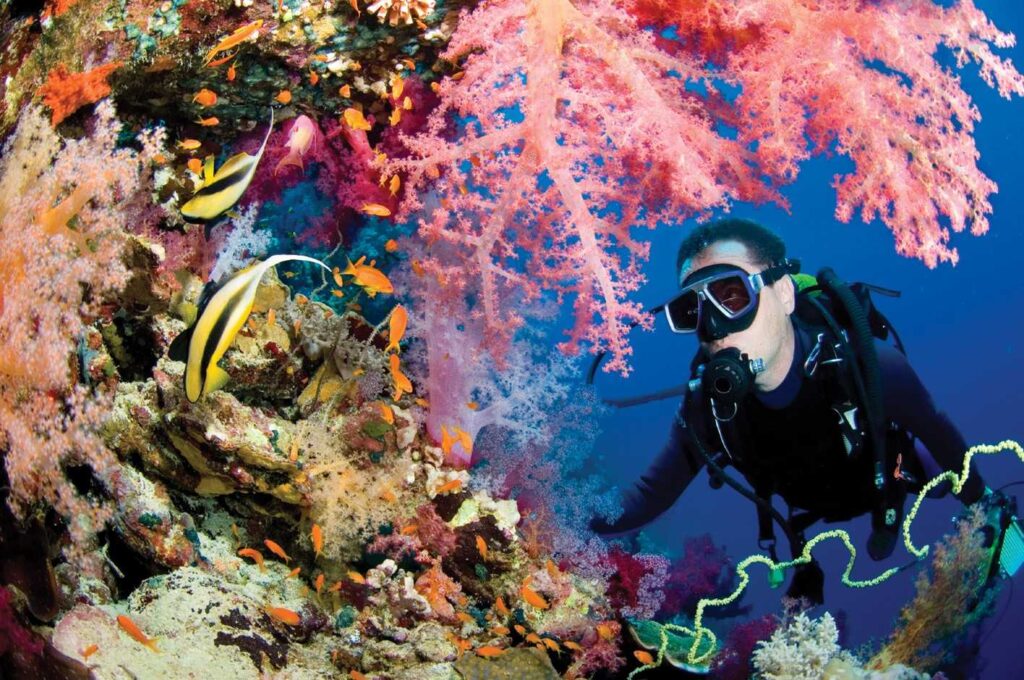 Andaman Tour Packages from Hyderabad @ 12,452/-pp 14 Andaman Tour Packages from Hyderabad @ 12,452/-pp dive 4 Andaman Tour Packages from Hyderabad @ 12,452/-pp