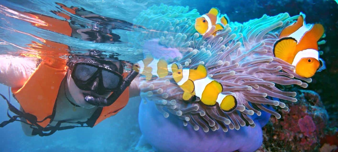 Andaman Tour Packfrom Bangladeshages