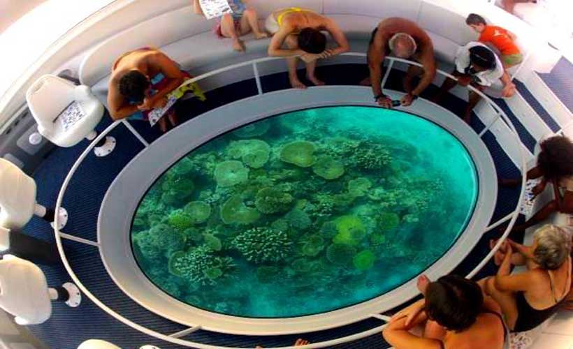 Andaman Dolphin Ride Andaman Family Packages from Mumbai @ 12,500/-pp