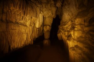 Port Blair to Baratang Limestone Cave Trip