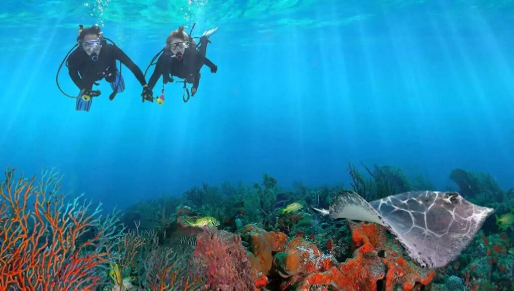 file 54522481 3384 4f5f abc7 ebe7cd6b4542 Andaman Family Tour Packages From Delhi @12,500/-pp