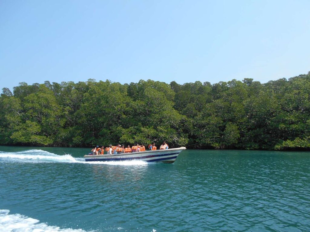 Baratang Tour Packages @ 4000/- 8 Baratang Tour Packages @ 4000/- DSCN0694 Baratang Tour Packages @ 4000/-