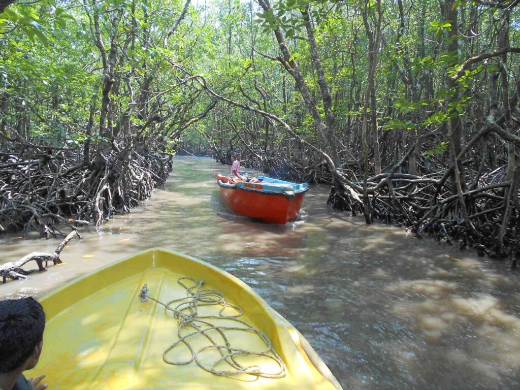 Baratang Tour Packages @ 4000/- 5 Baratang Tour Packages @ 4000/- DSCN0702 Baratang Tour Packages @ 4000/-