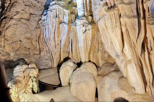 Baratang Tour Packages @ 4,500/- - Andaman Ocean Tours & Travels Baratang Tour Packages with Limestone Cave, mangrove boat ride, tropical forests, and natural attractions in the Andaman & Nicobar Islands.