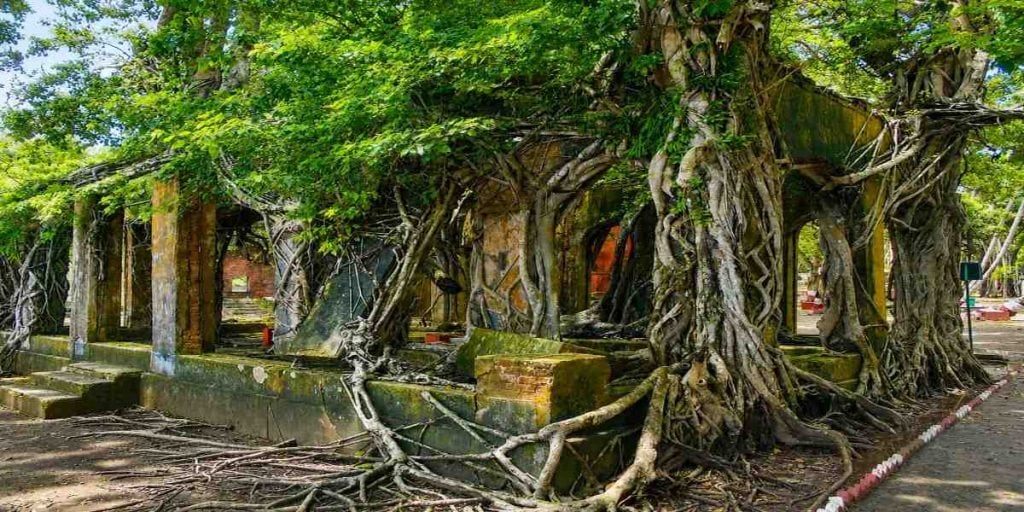 Ross Island (Netaji Subhash Chandra Bose Island) near Sri Vijaya Puram (Port Blair), Andaman & Nicobar Islands, featured in Andaman Family Tour Package from Chennai.