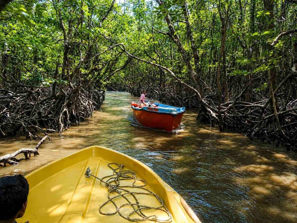 Andaman in September – Complete Travel Guide - Andaman Tour Packages