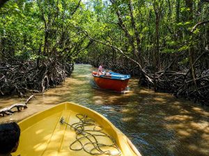 Best Time to Visit Andaman – Month-Wise Weather & Guide - Andaman Ocean Tours & Travels Best Time to Visit Andaman – Month-Wise Weather & Guide - Andaman Tour Packages