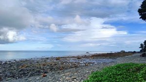 Best Time to Visit Andaman – Month-Wise Weather & Guide - Andaman Ocean Tours & Travels Andaman in August with lush greenery and monsoon beaches