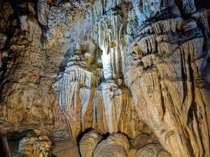 Best Time to Visit Andaman – Month-Wise Weather & Guide - Andaman Ocean Tours & Travels Andaman in June with lush greenery and tropical beaches
