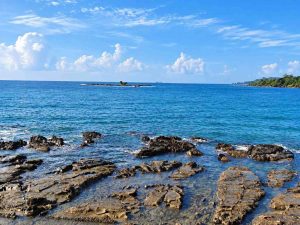 Best Time to Visit Andaman – Month-Wise Weather & Guide - Andaman Ocean Tours & Travels Andaman in May with tropical beaches and clear blue water