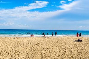Best Time to Visit Andaman – Month-Wise Weather & Guide - Andaman Ocean Tours & Travels Plan Andaman Tour in December for a tropical island holiday